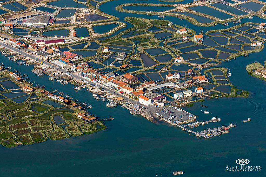 Estuaire de la seudre - Charente Maritime