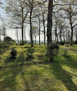 Vue terrasse de la cabane Ostrea camping du parc Etaules Royan